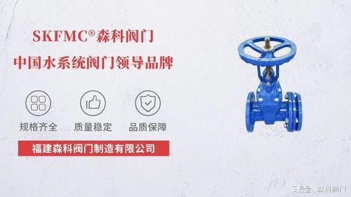 伸縮軟密封閘閥 知名生產(chǎn)廠家與技術(shù)服務(wù)的綜合解析