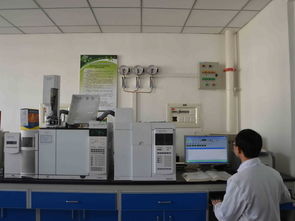 賦能創(chuàng)新 公共技術(shù)服務(wù)中心的儀器設(shè)備與技術(shù)服務(wù)的雙輪驅(qū)動(dòng)